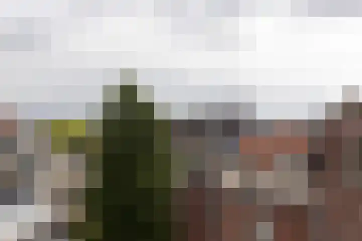 Eerste Goudsbloemdwarsstraat 11 1 Amsterdam thumbnail 27