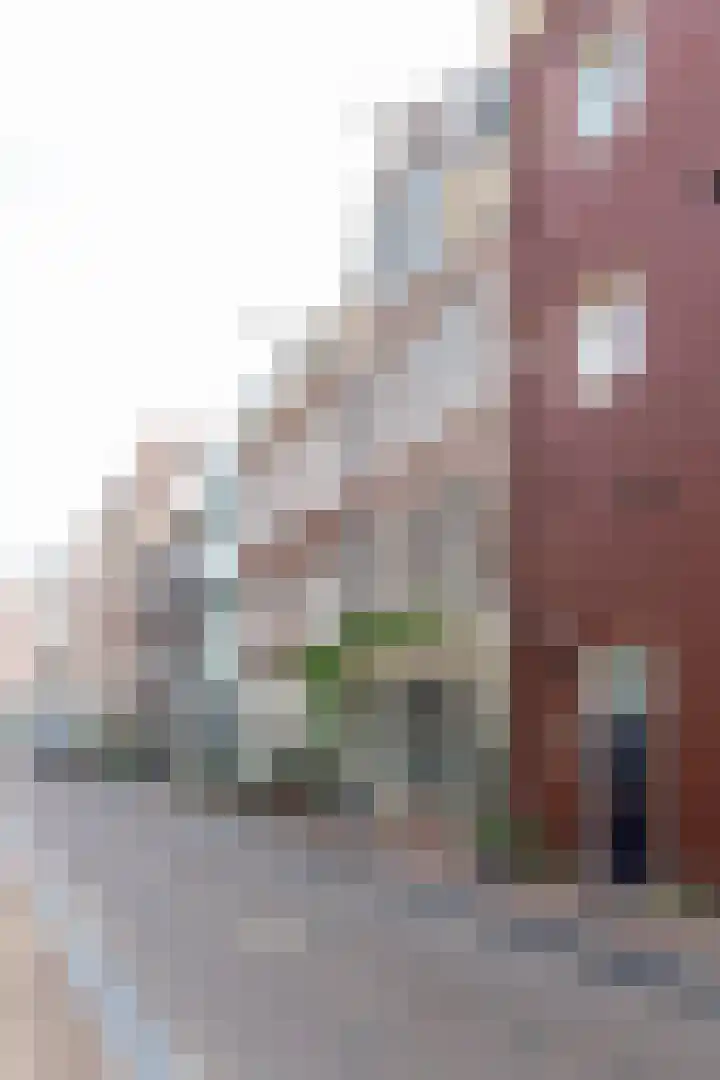 Eerste Goudsbloemdwarsstraat 11 1 Amsterdam thumbnail 28