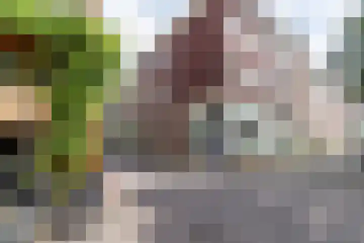 Eerste Goudsbloemdwarsstraat 11 1 Amsterdam thumbnail 29