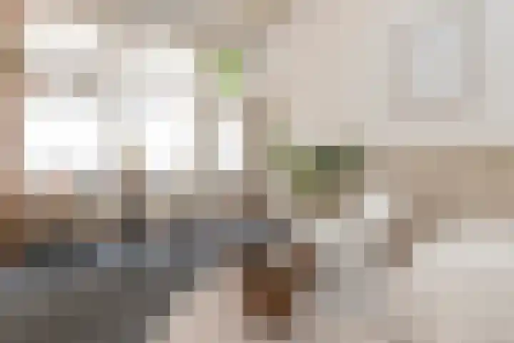Eerste Goudsbloemdwarsstraat 11 1 Amsterdam thumbnail 5