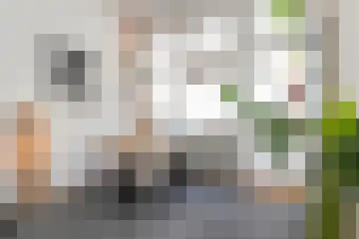 Eerste Goudsbloemdwarsstraat 11 1 Amsterdam thumbnail 6