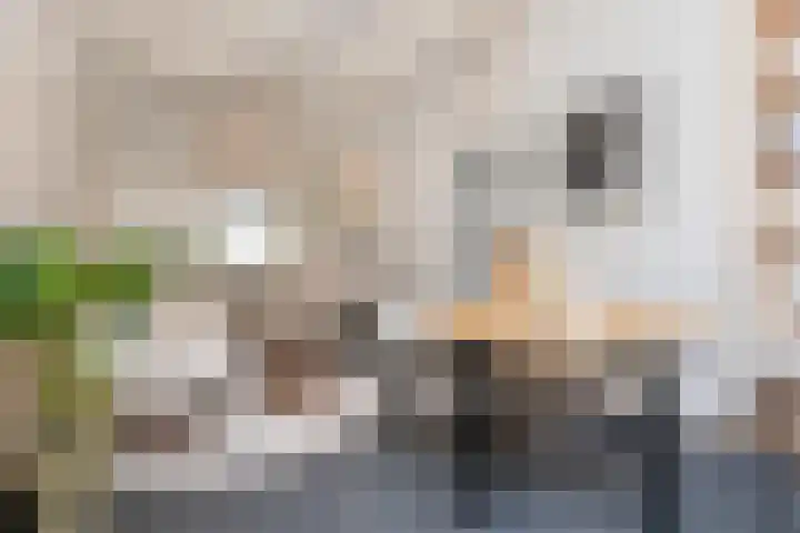 Eerste Goudsbloemdwarsstraat 11 1 Amsterdam thumbnail 7
