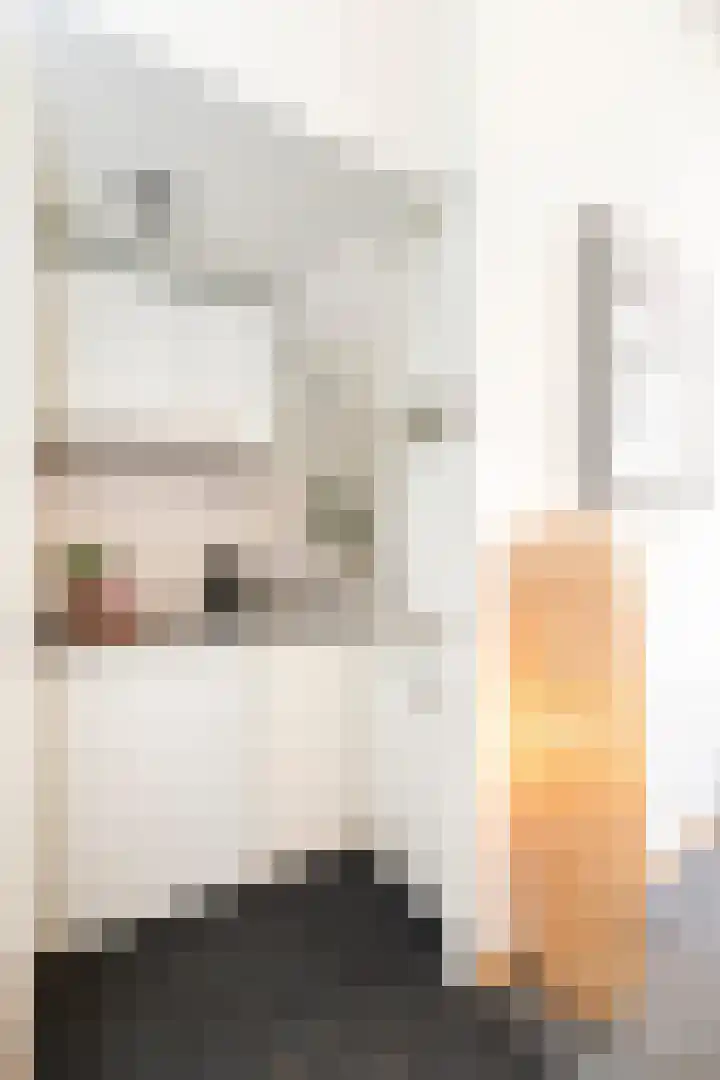 Eerste Goudsbloemdwarsstraat 11 1 Amsterdam thumbnail 9