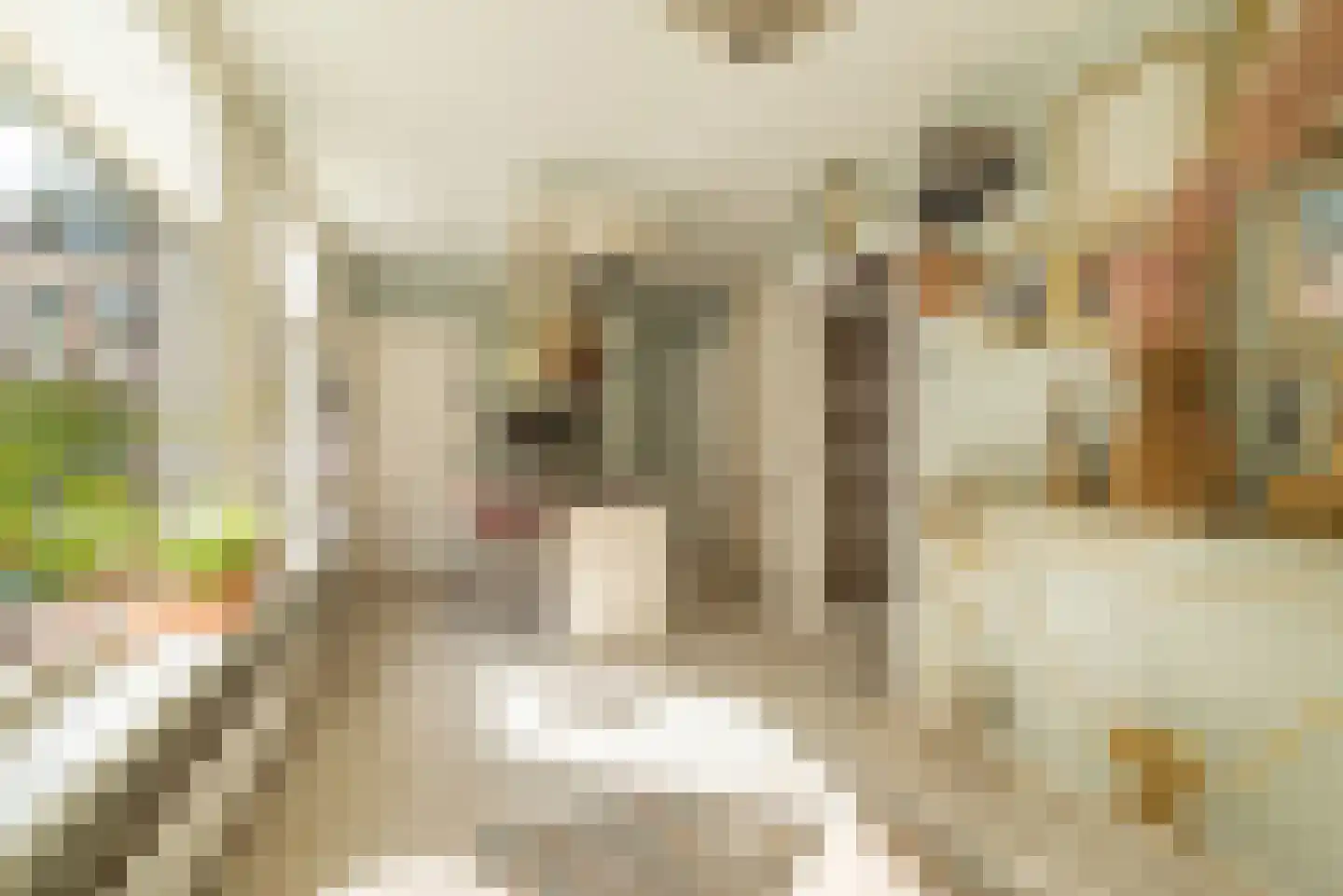 Eerste Goudsbloemdwarsstraat 14 3 Amsterdam thumbnail 12