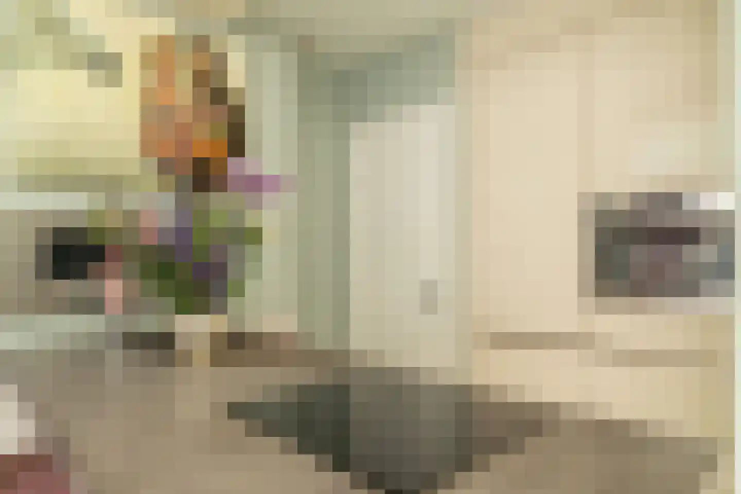 Eerste Goudsbloemdwarsstraat 14 3 Amsterdam thumbnail 6