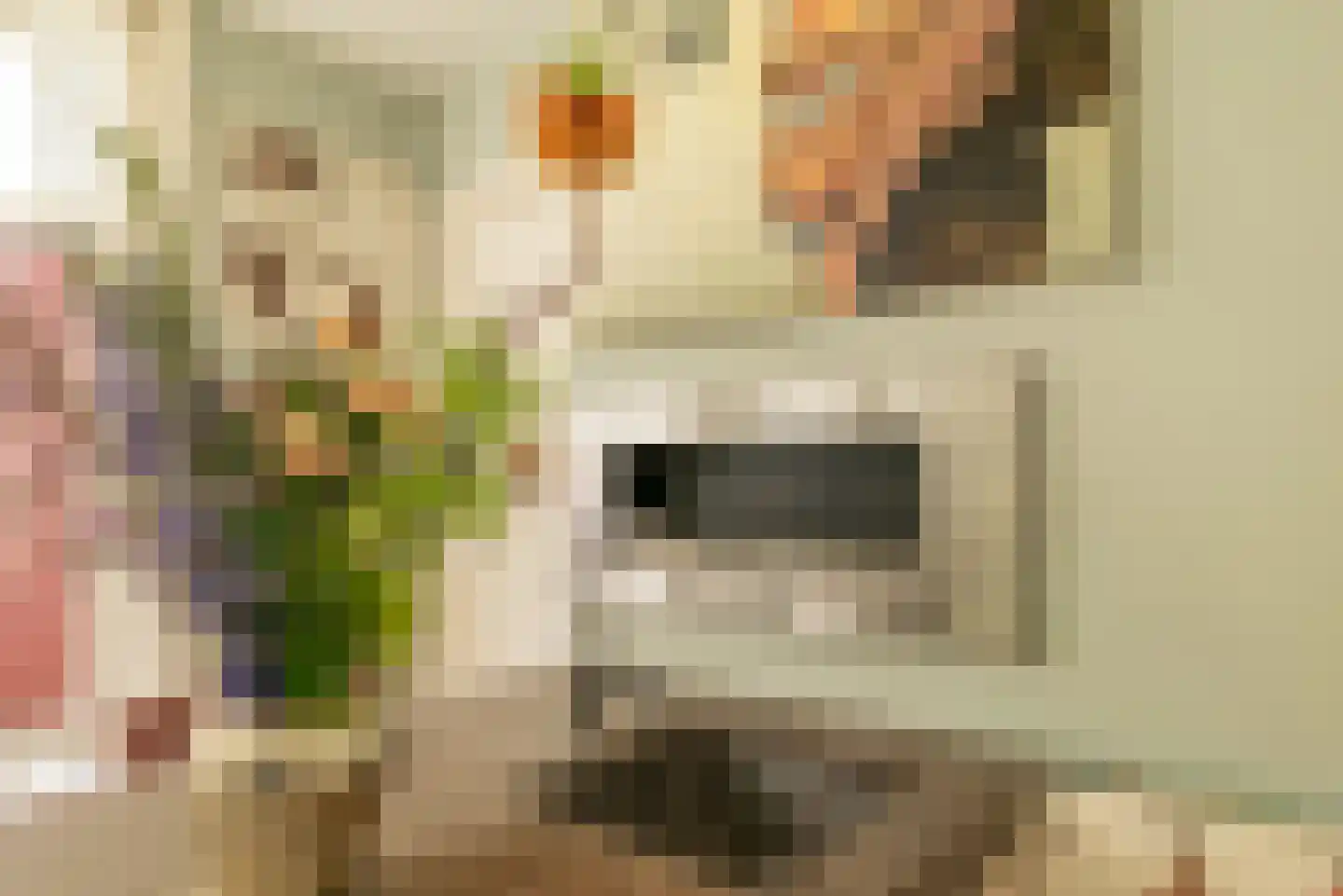 Eerste Goudsbloemdwarsstraat 14 3 Amsterdam thumbnail 7