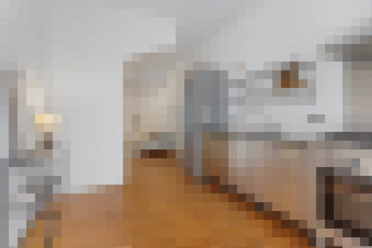 Eerste Goudsbloemdwarsstraat 15 H Amsterdam thumbnail 8