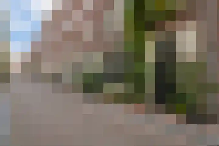 Eerste Goudsbloemdwarsstraat 19 Amsterdam thumbnail 19