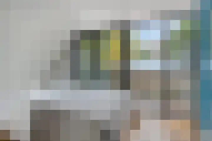 Eerste Goudsbloemdwarsstraat 7 A Amsterdam thumbnail 14