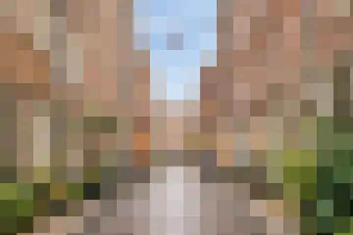 Eerste Goudsbloemdwarsstraat 7 A Amsterdam thumbnail 23
