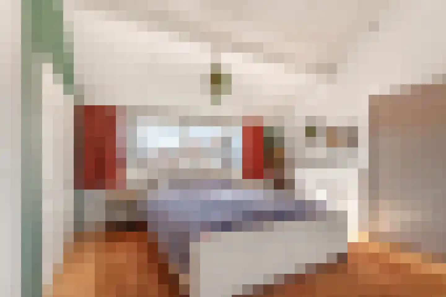 Eerste Groenelaan 131 Castricum thumbnail 28