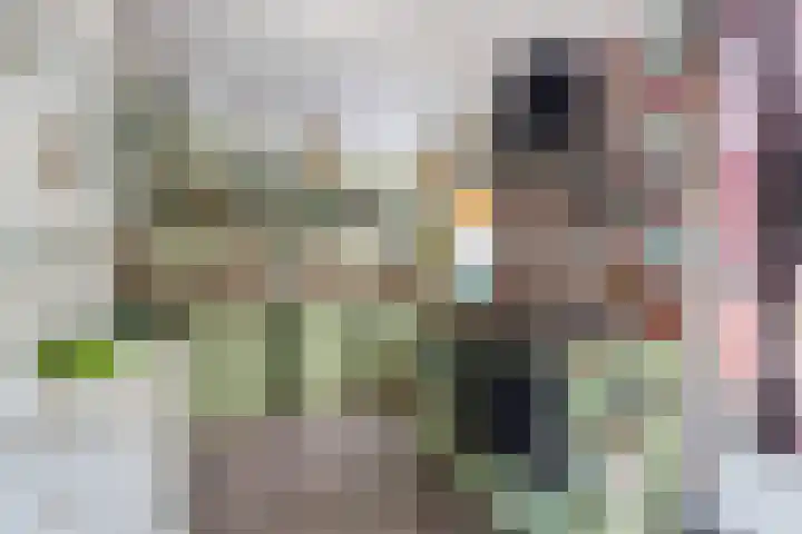 Eerste Groenelaan 15 Castricum thumbnail 11