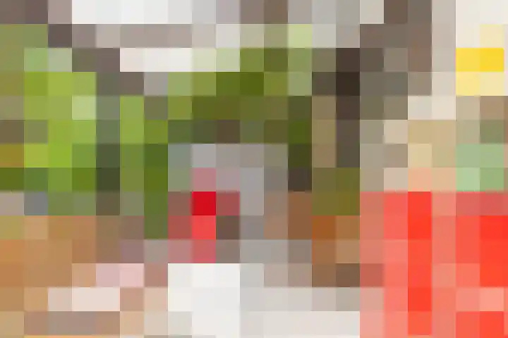 Eerste Groenelaan 15 Castricum thumbnail 15