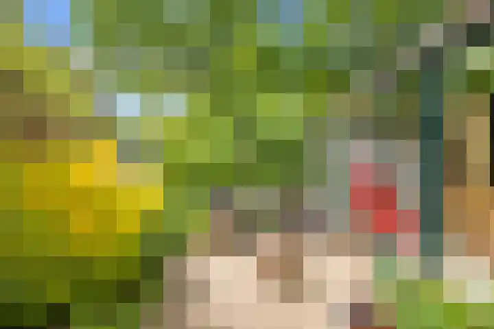 Eerste Groenelaan 15 Castricum thumbnail 16
