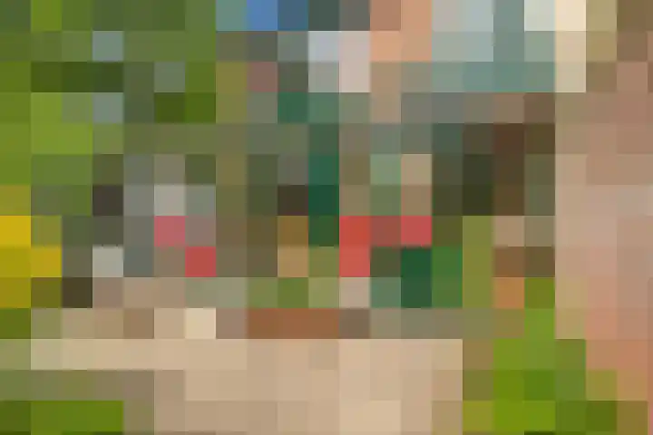 Eerste Groenelaan 15 Castricum thumbnail 17