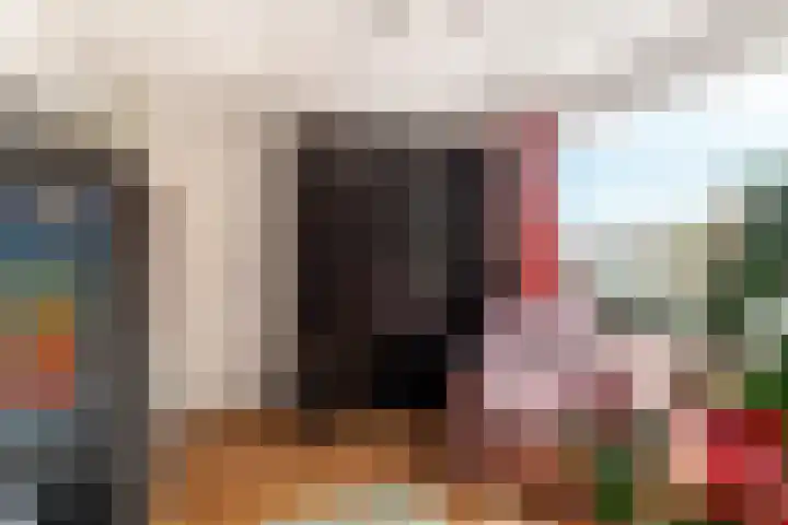 Eerste Groenelaan 15 Castricum thumbnail 29
