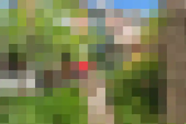 Eerste Groenelaan 15 Castricum thumbnail 35