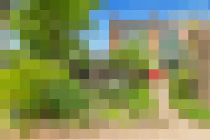 Eerste Groenelaan 15 Castricum thumbnail 36