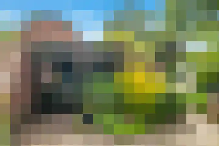 Eerste Groenelaan 15 Castricum thumbnail 37