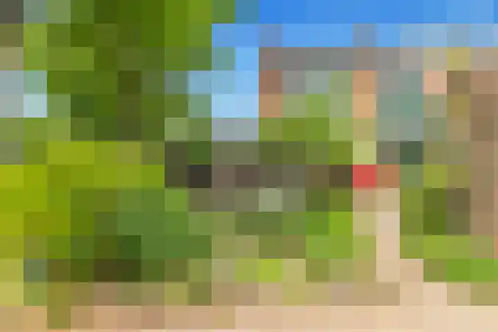 Eerste Groenelaan 15 Castricum thumbnail 4
