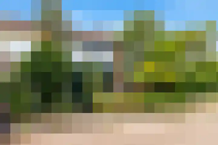 Eerste Groenelaan 15 Castricum thumbnail 40