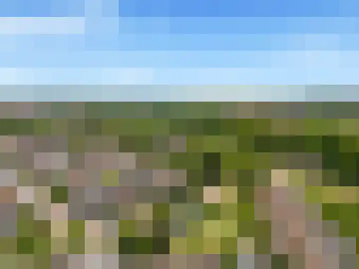 Eerste Groenelaan 15 Castricum thumbnail 43