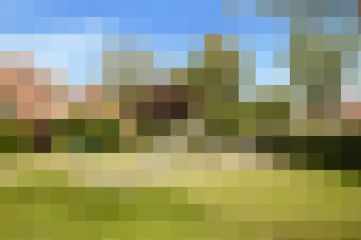 Eerste Groenelaan 15 Castricum thumbnail 45