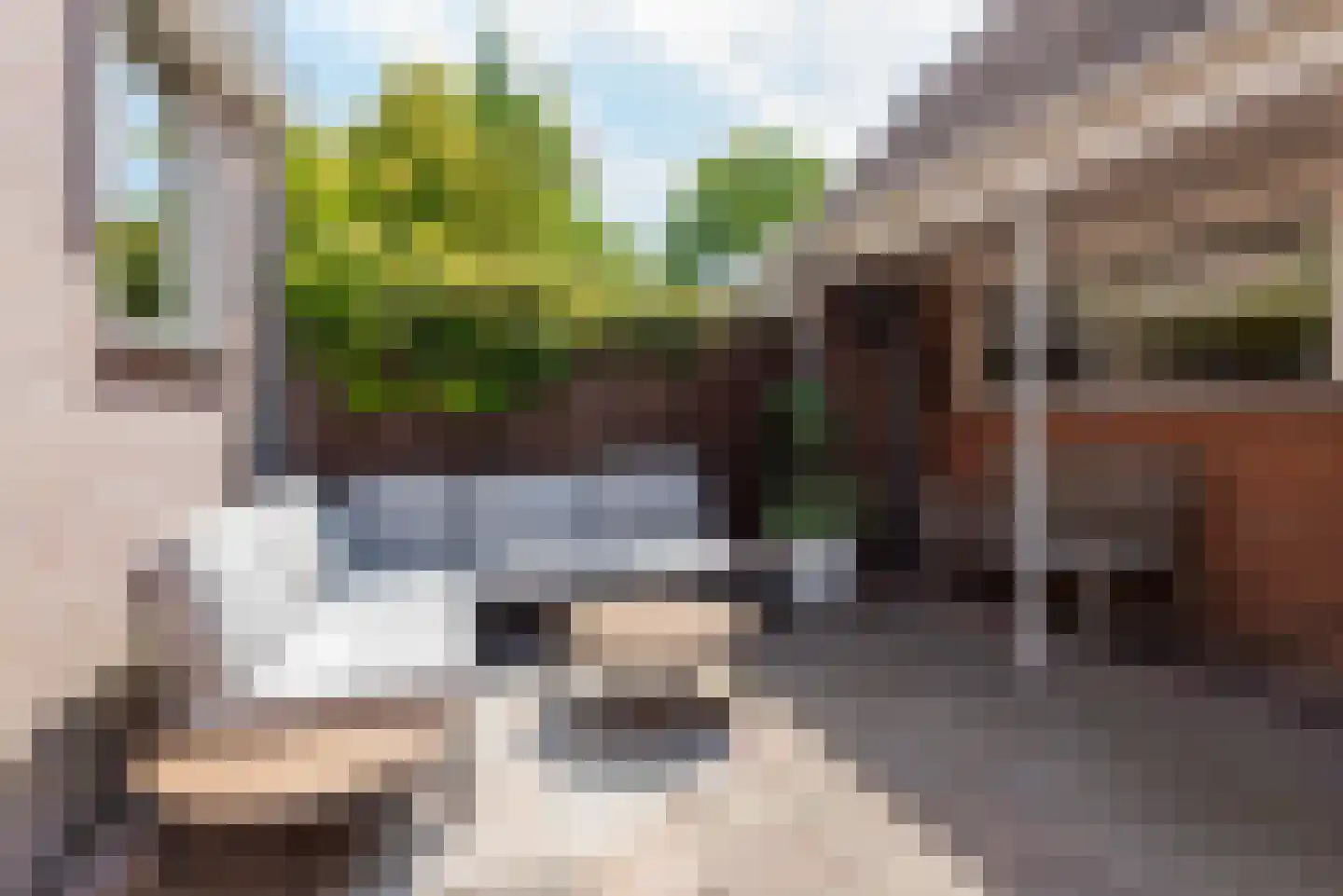 Eerste Groenelaan 35 Castricum thumbnail 31