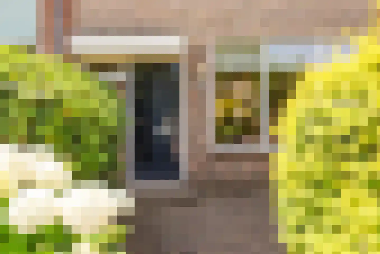 Eerste Groenelaan 35 Castricum thumbnail 41