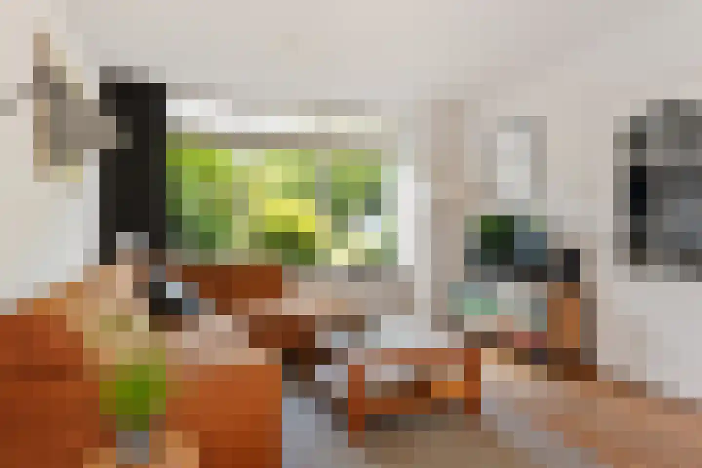 Eerste Groenelaan 35 Castricum thumbnail 5