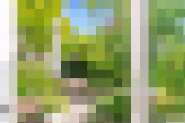 Eerste Groenelaan 37 Castricum thumbnail 34