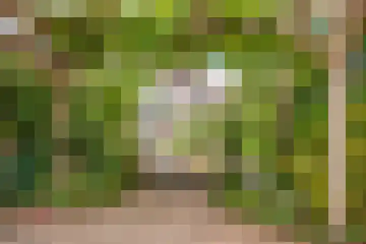 Eerste Groenelaan 37 Castricum thumbnail 35