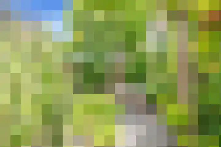 Eerste Groenelaan 37 Castricum thumbnail 36
