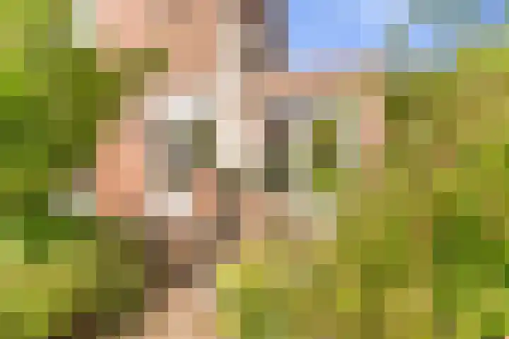 Eerste Groenelaan 37 Castricum thumbnail 37