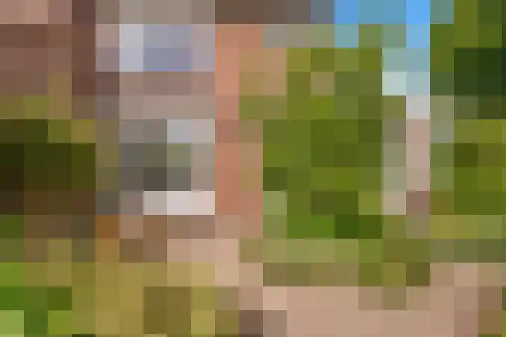 Eerste Groenelaan 37 Castricum thumbnail 38