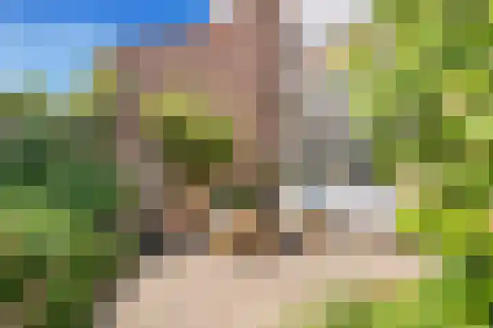 Eerste Groenelaan 37 Castricum thumbnail 39