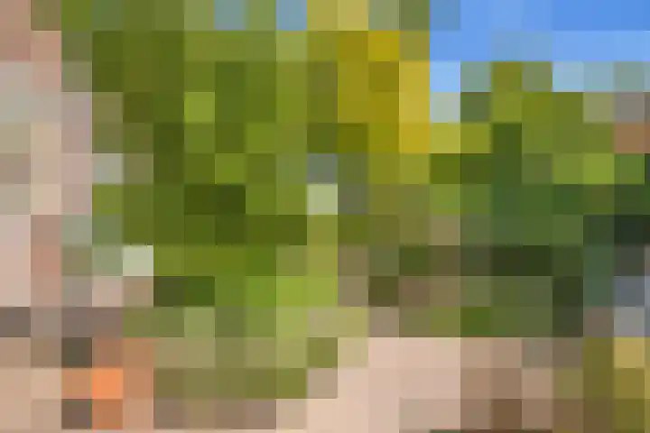 Eerste Groenelaan 37 Castricum thumbnail 40