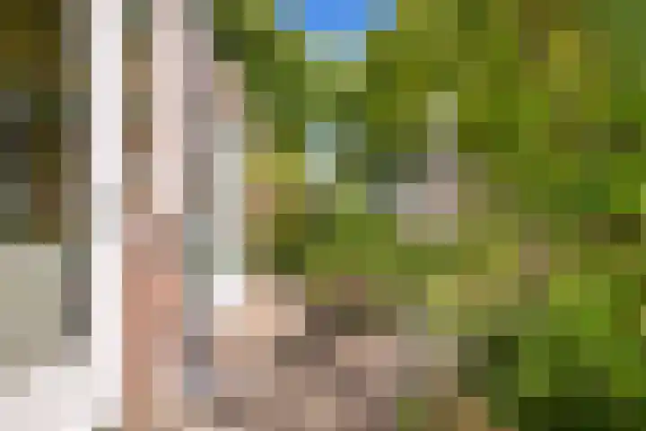 Eerste Groenelaan 37 Castricum thumbnail 41