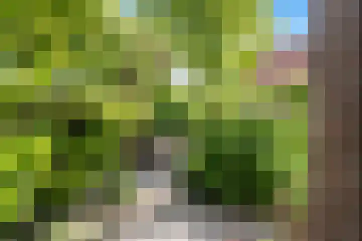 Eerste Groenelaan 37 Castricum thumbnail 42