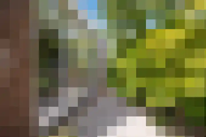 Eerste Groenelaan 37 Castricum thumbnail 43