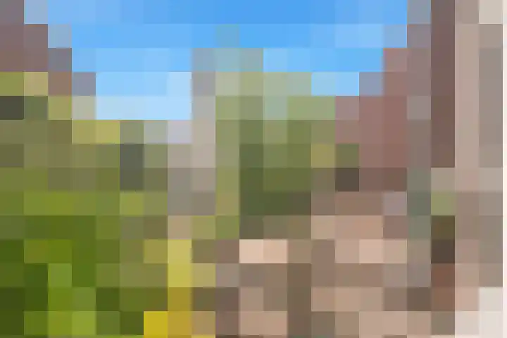 Eerste Groenelaan 37 Castricum thumbnail 44