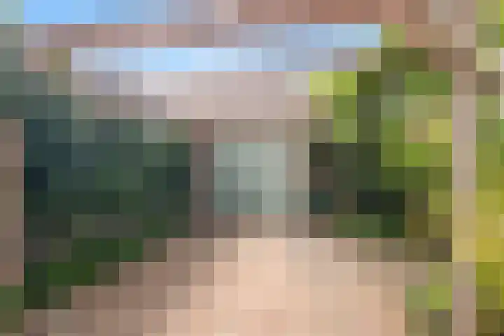 Eerste Groenelaan 37 Castricum thumbnail 46