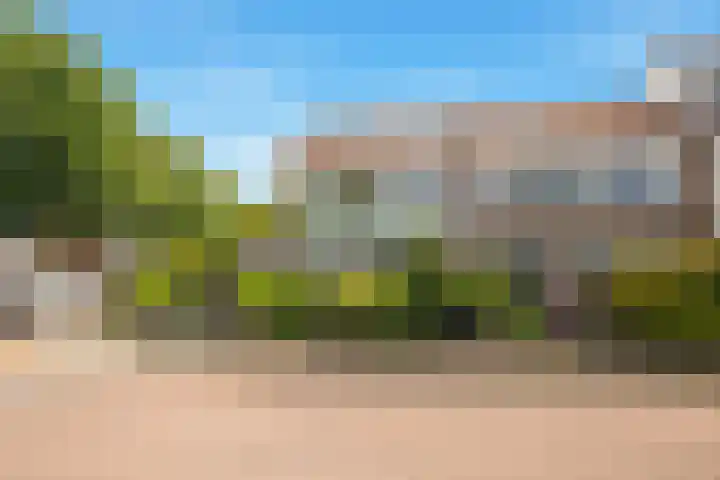 Eerste Groenelaan 37 Castricum thumbnail 5