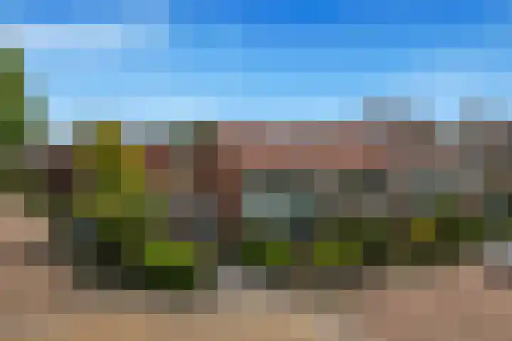 Eerste Groenelaan 37 Castricum thumbnail 50