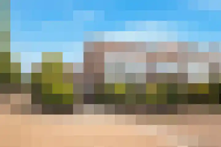 Eerste Groenelaan 37 Castricum thumbnail 6