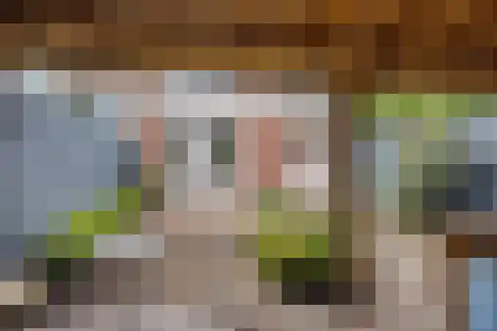 Eerste Groenelaan 41 Castricum thumbnail 32