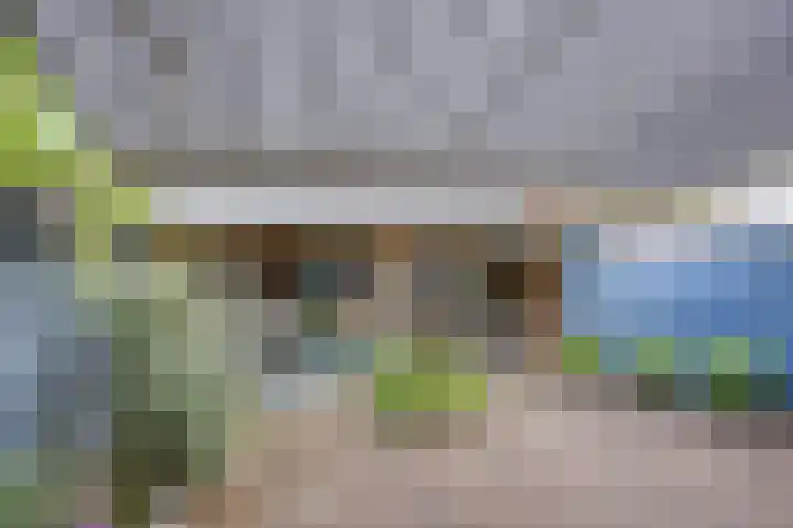 Eerste Groenelaan 41 Castricum thumbnail 34