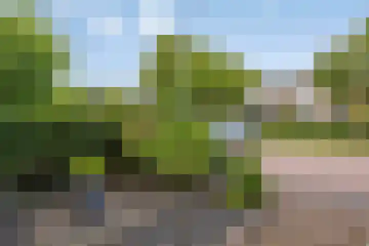 Eerste Groenelaan 41 Castricum thumbnail 4