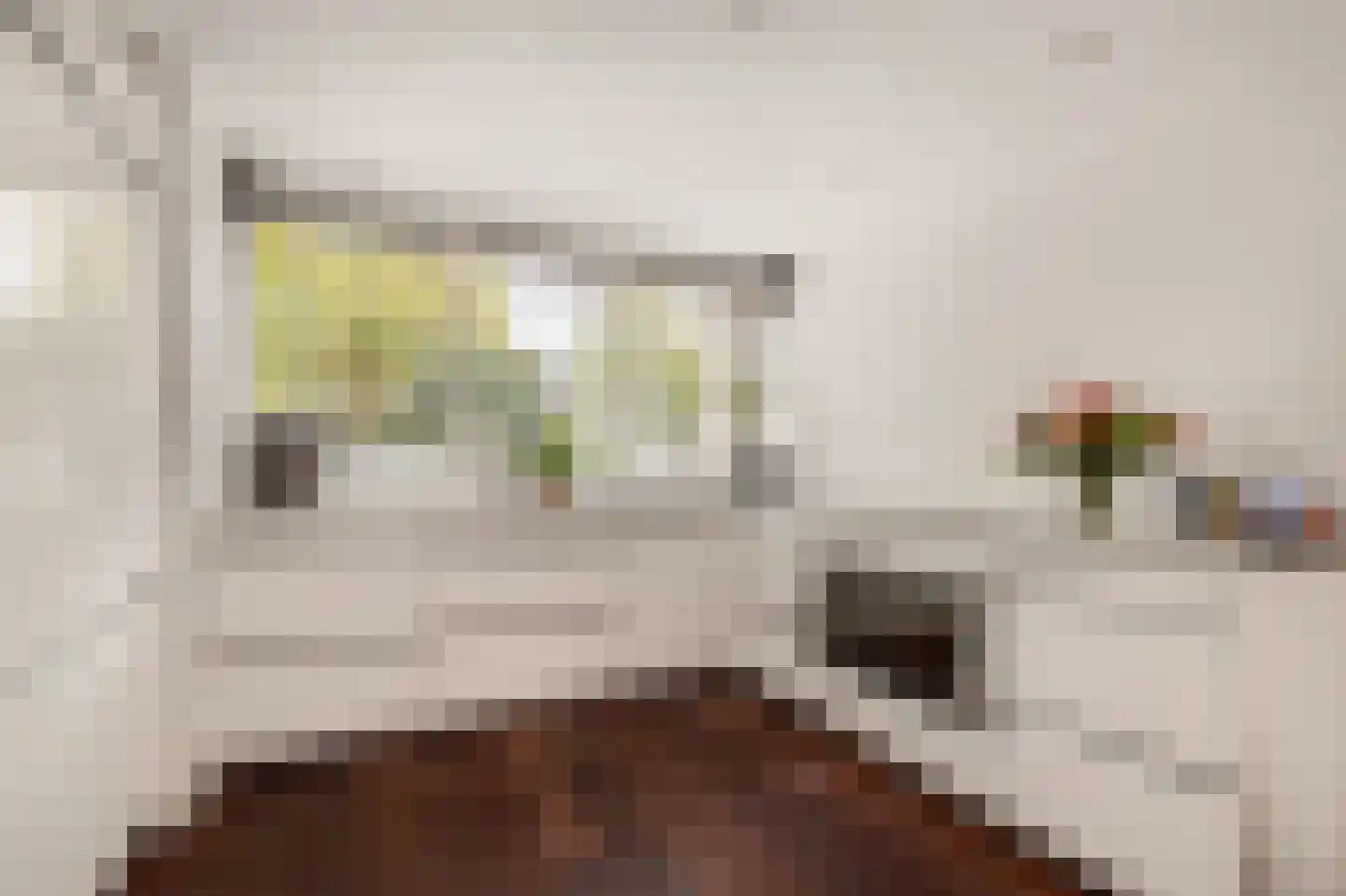 Eerste Groenelaan 44 Castricum thumbnail 11