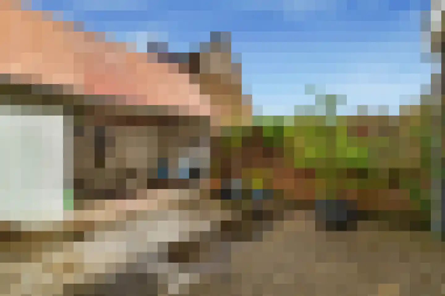 Eerste Groenelaan 44 Castricum thumbnail 4
